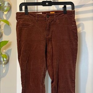 Pilcro and the Letterpress Brown Straight Leg Jeans